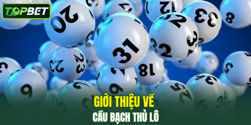 Gioi Thieu Ve Cau Bach Thu Lo