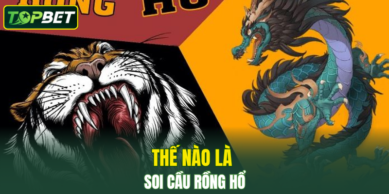 The Nao La Soi Cau Rong Ho