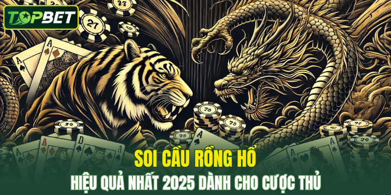 Soi Cầu Rồng Hổ Đỉnh Cao Giúp Bạn Làm Chủ Cuộc Chơi 